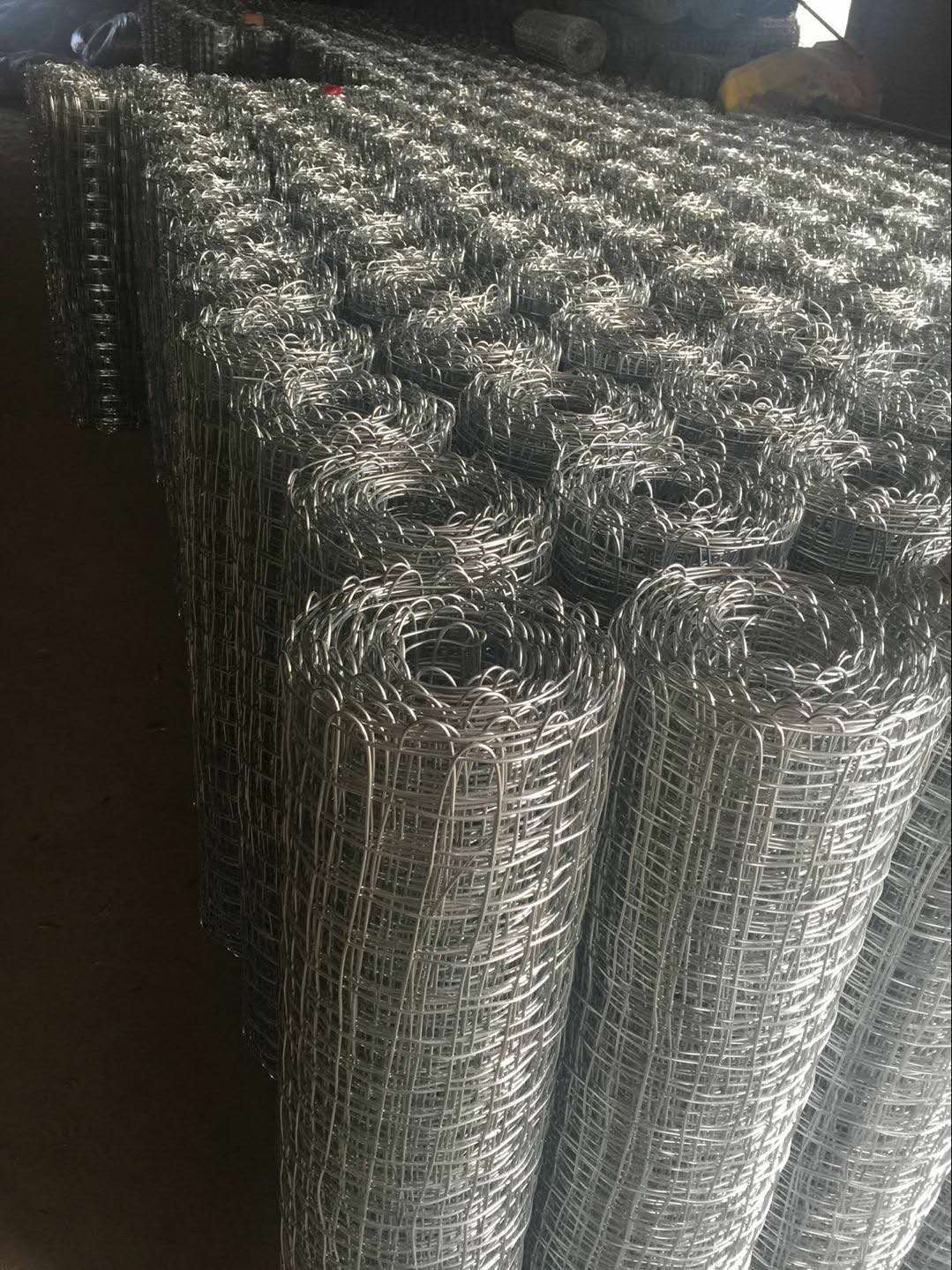 太原金屬經緯網鍍鋅煤礦經緯編織網